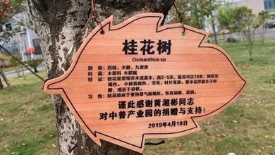 “種”希望！綠化中普，共建美麗家園